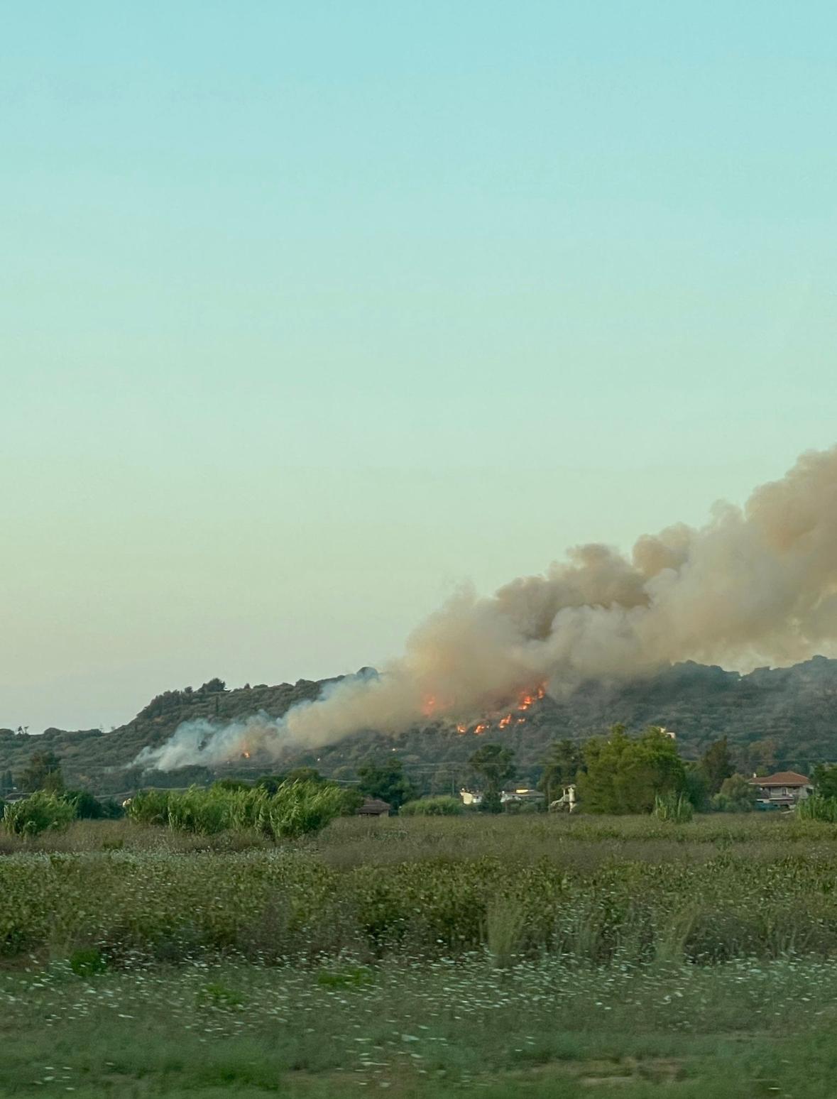 Bosbrand op Griekse eiland Zakynthos onder controle Bosbranden in Europa