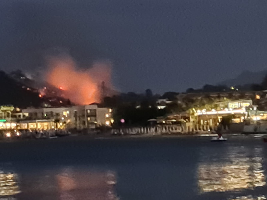 Bosbrand op Griekse eiland Zakynthos onder controle Bosbranden in Europa