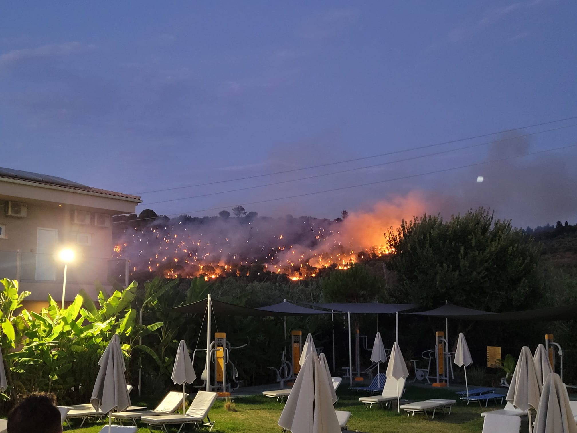 Bosbrand op Griekse eiland Zakynthos onder controle Bosbranden in Europa