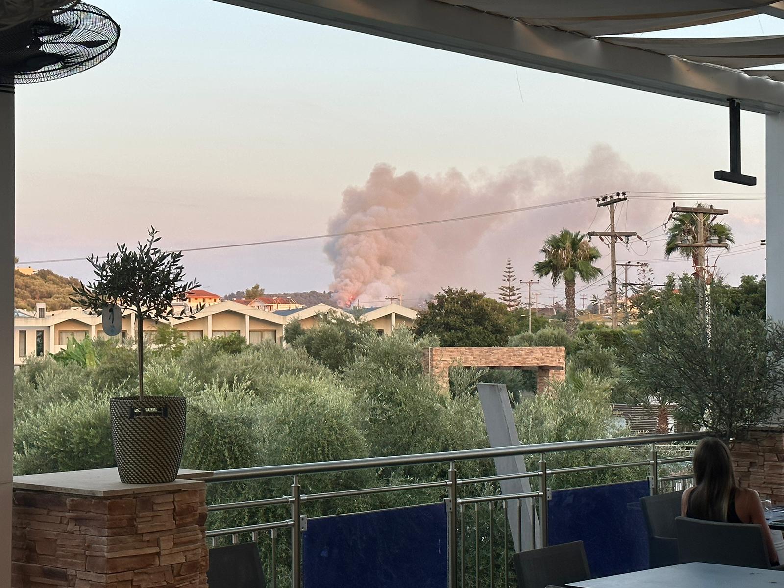 Bosbrand op Griekse eiland Zakynthos onder controle Bosbranden in Europa